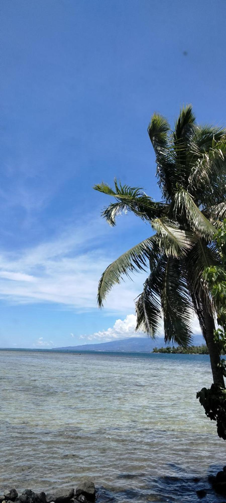 Bungalow Vue Lagon 180 Degre, La Maison Bleue Moorea Zewnętrze zdjęcie